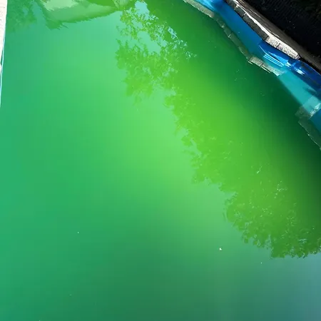 Daire Vacation With Natural Swimming Pool And Garden For Up To 12 Guests Odelzhausen